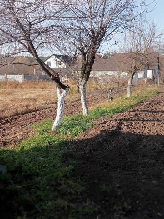 Продаж Дачної ділянки  Гараджа !!!