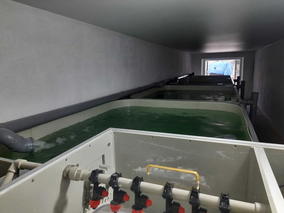 Басейни для УЗВ з поліпропілену — виготовлення за розмірами