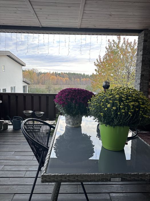 Продаж 2 будинків в мальовничому Свидівку з ремонтом та лазнею