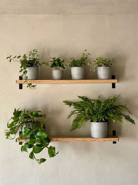 Dębowa półka, Półki dębowe