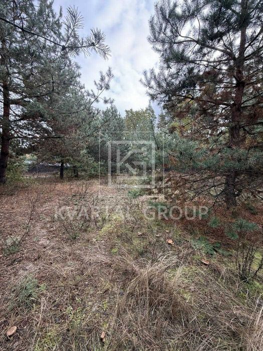 Одноповерховий будинок в елітному районі с. Дмитрівка