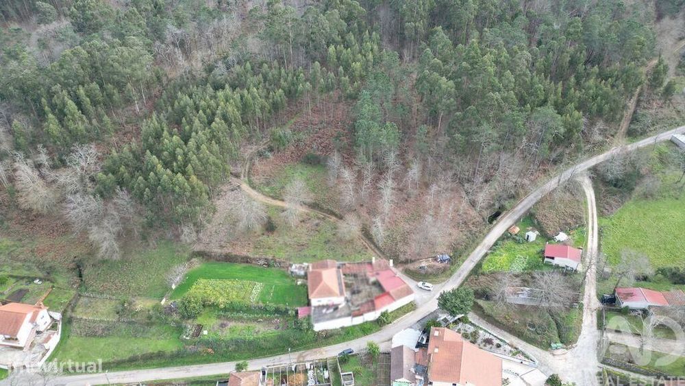 Terreno para construção em Espinhal