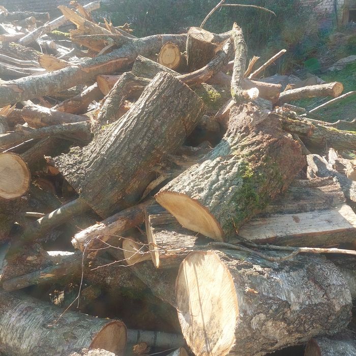 Sprzedam drzewo mieszane