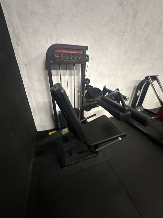 Leg Curl/Extension Machine428963308367390722