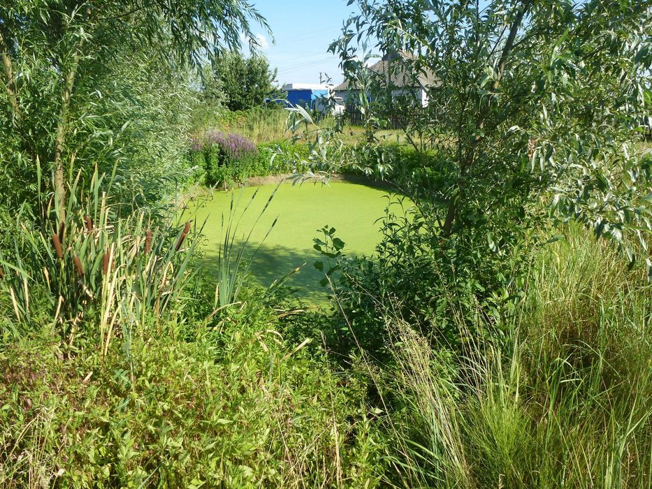 Продам небольшой уютный дом с озером в с. Чемужовка