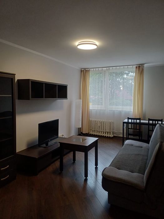 Wynajmę mieszkanie od 1.10 ok ul Dobrej