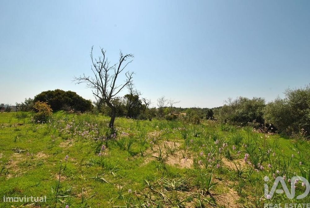 Terreno Agrícola em Paderne