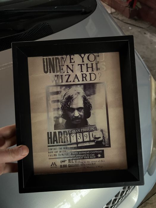 Obraz 3 D Harry Potter