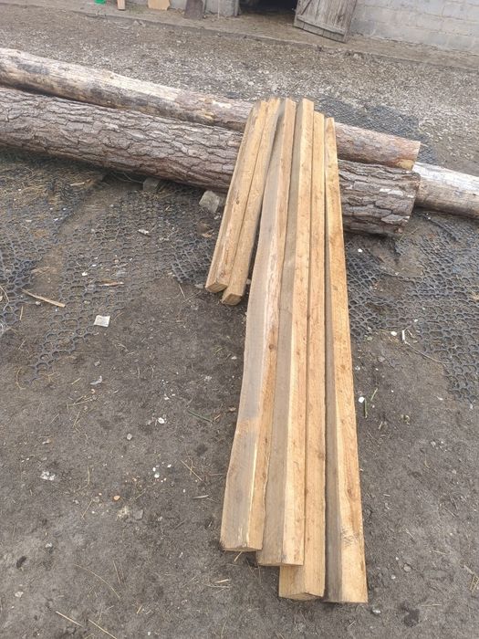 Baliki modrzewiowe, sosnowe, brzozowe