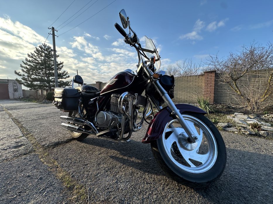 Viper V250 SK, 2014 рік, 6 тис проб.