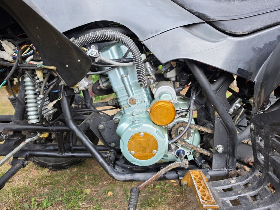Quad Bashan 250cc Nibbi Dekini