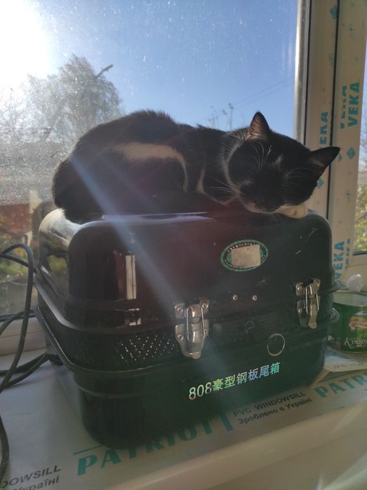 Кофр, багажник, кейс НОВИЙ на мопед/квадроцикл