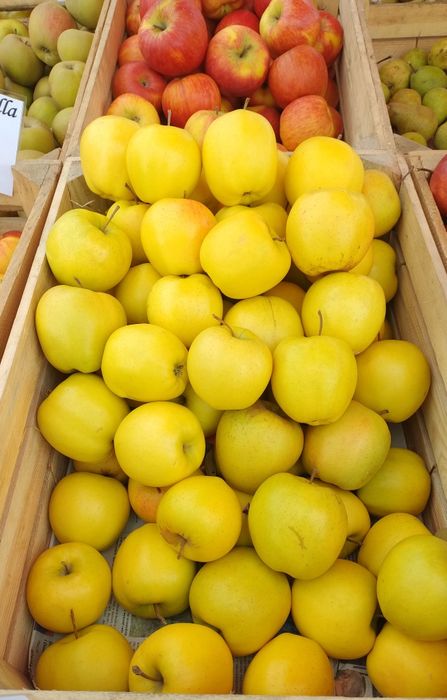 Sprzedaż jabłek z własnego gospodarstwa