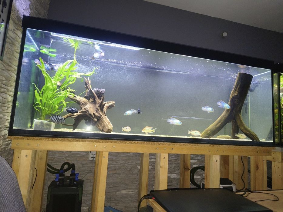 Akwarium 840 L stan bdb full opcja