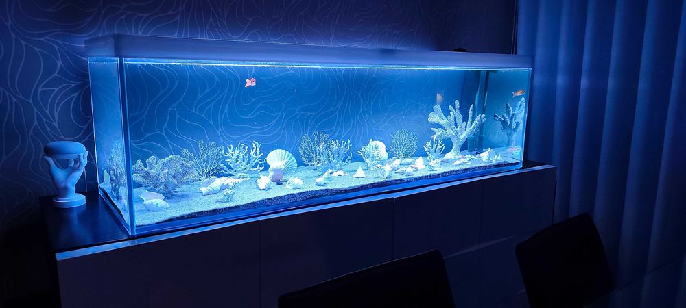 Aquário muito grande 1.50m com filtro