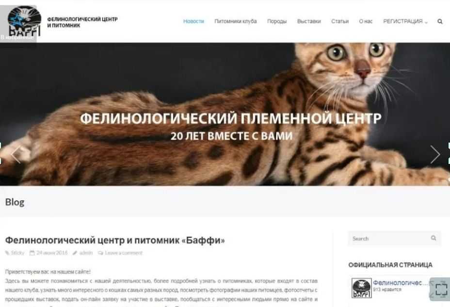 Создание и разработка сайтов 1890 грн + Гугл индекс. Продвижение в ТОП