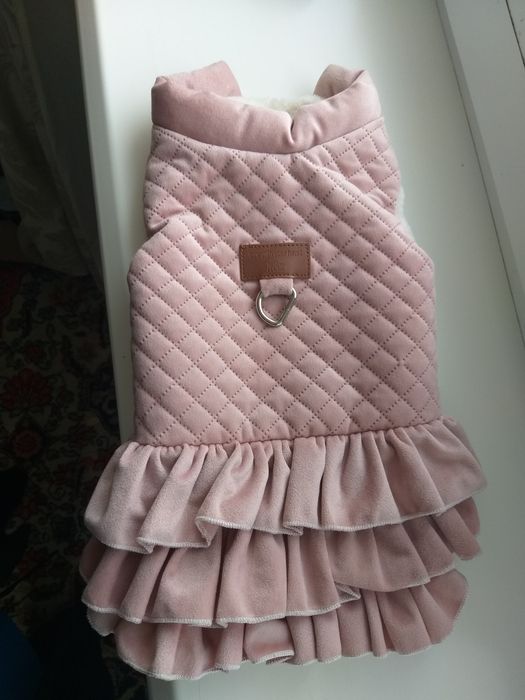 Одежда для маленькой собачки