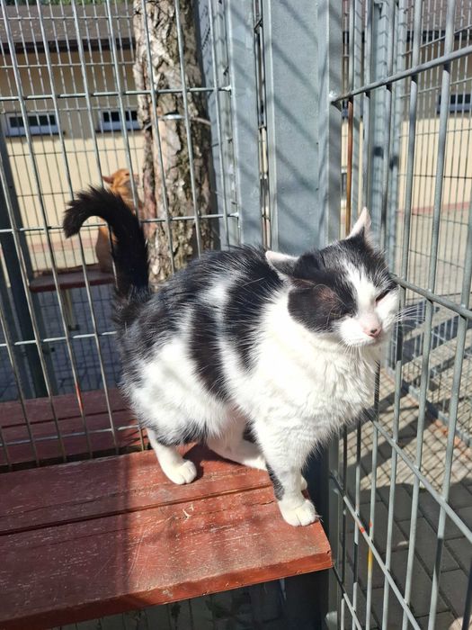 Cudna Frotka poleca się do adopcji