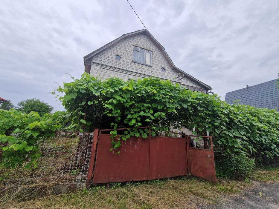 Затишна дача біля соснового лісу с. Любимівка