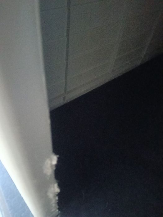 Casota de Plástico para cães