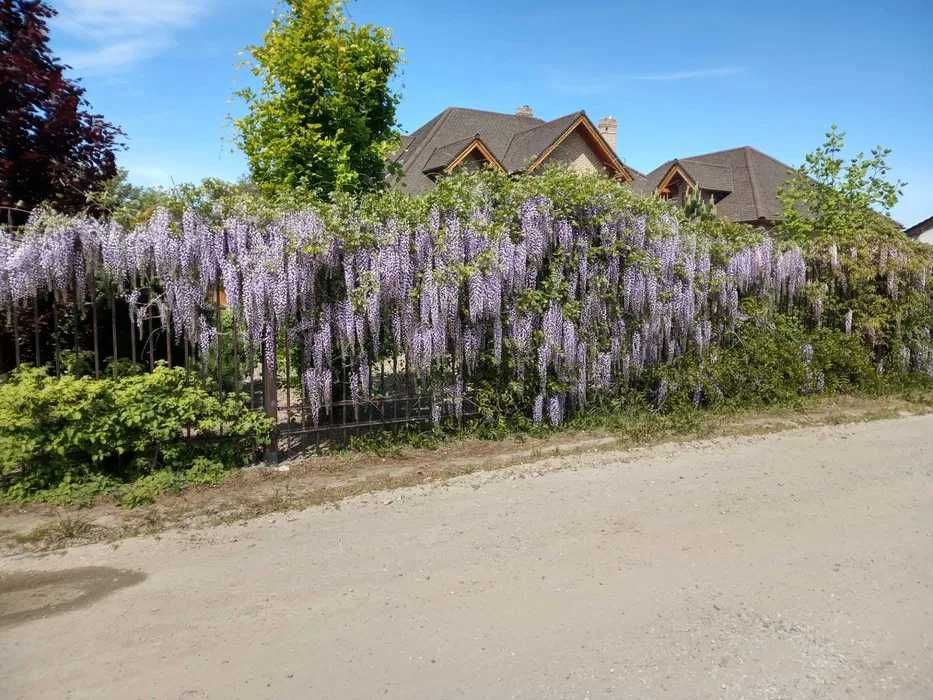 Zakładanie, pielęgnacja i koszenie ogrodów