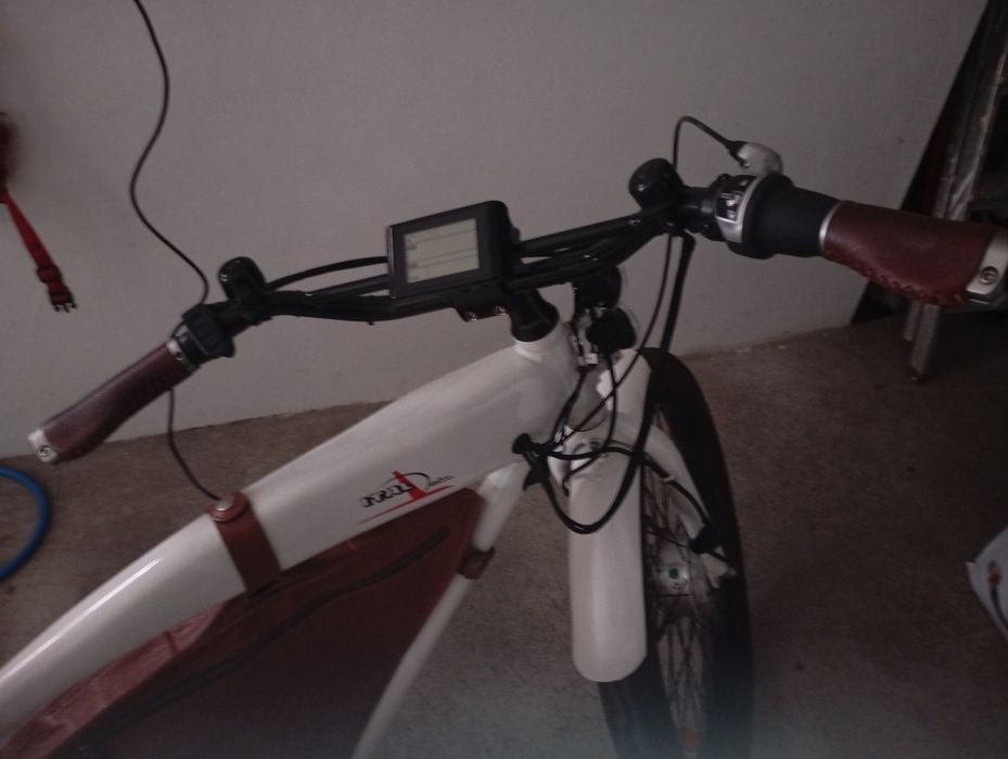 Bicicleta elétrica