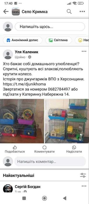 Хомячки безкоштовно