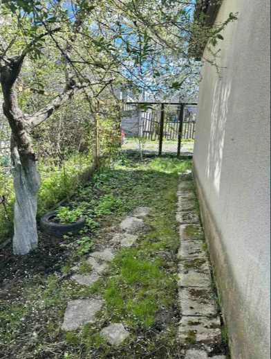 Продаж приватизованої ділянки с/т "Ветеран"