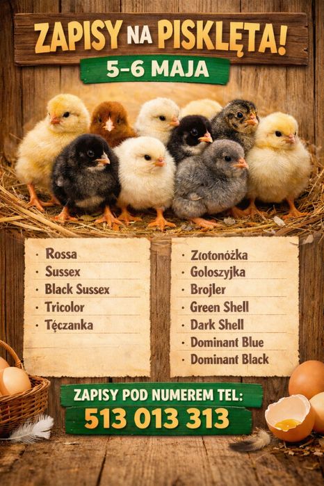Zapisy na pisklęta