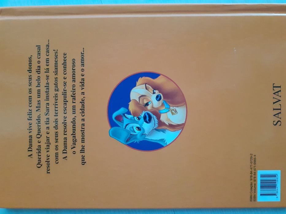 Livro A dama e o vagabundo