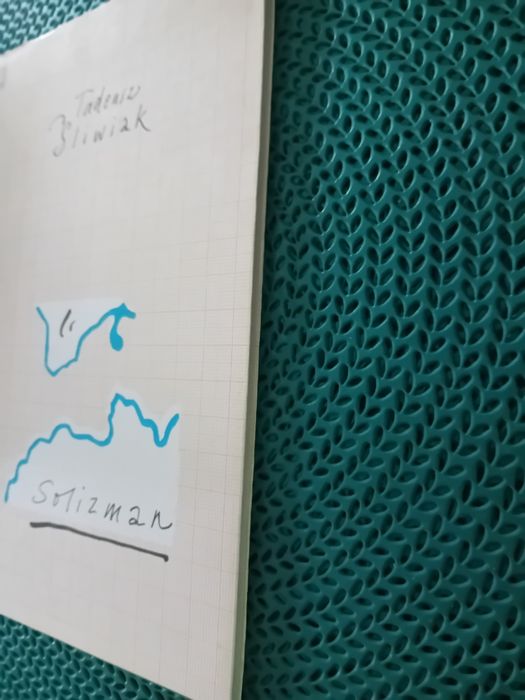 Solizman-Tadeusz Śliwiak