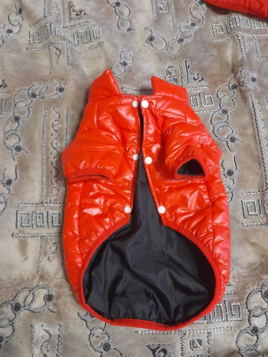 Крута куртка для цуценя