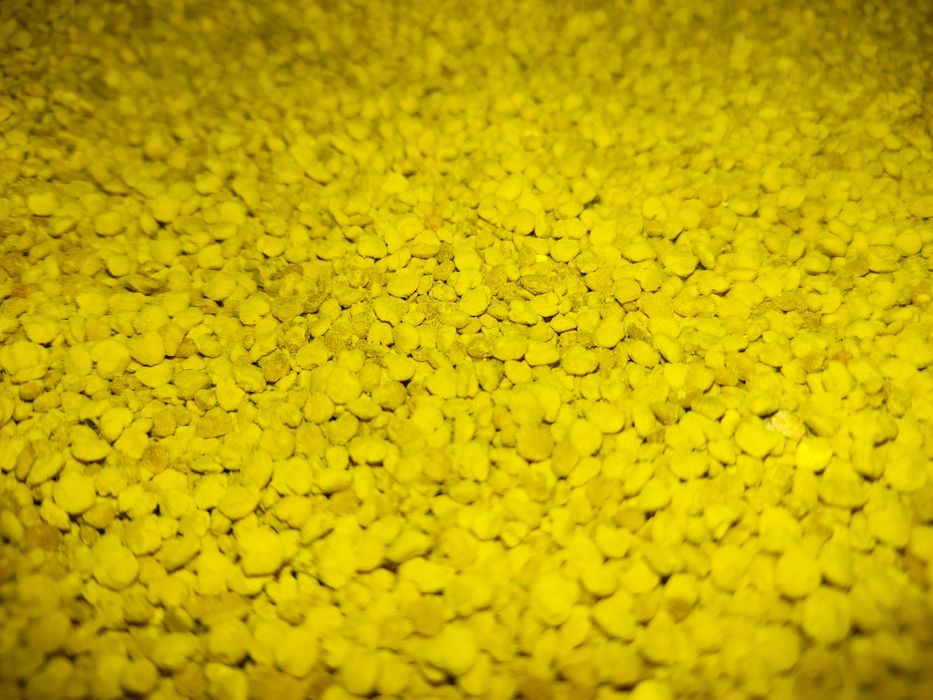 Бджолиний пилок очищений