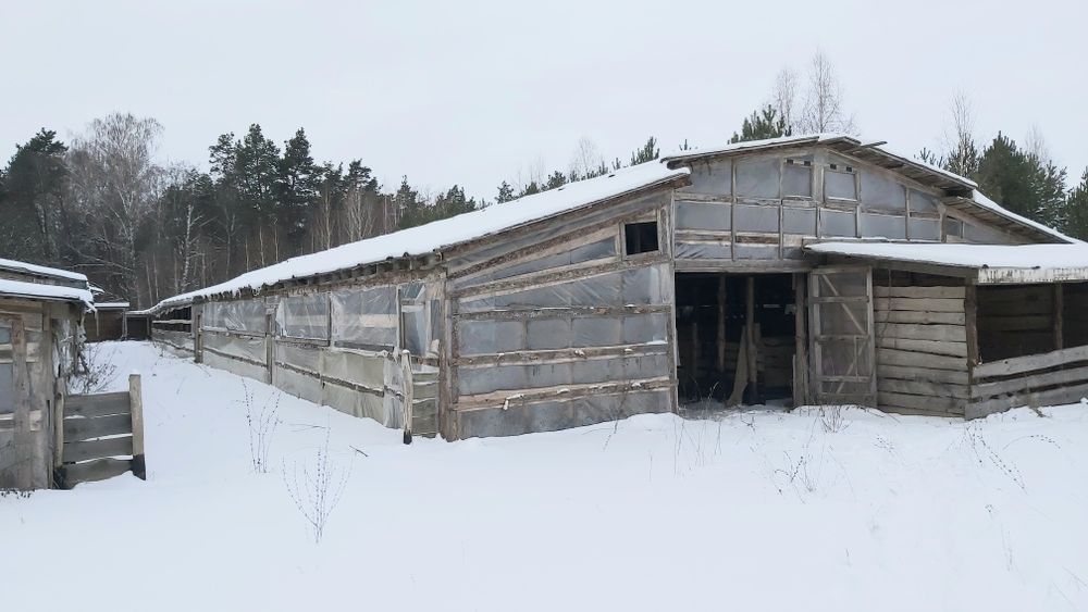 Продам  свиноферму у ліса +10 Га землі,  20 км від Чернігова.
