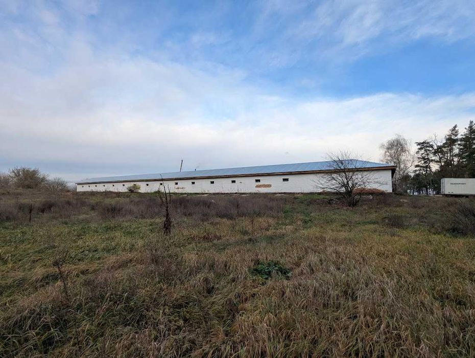 Продаж рентабельної птахоферми поблизу Городище. Кури як бізнес