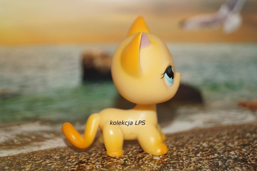 LPS Littlest Pet Shop shorthair #339 Brooklyn oryginalny pop oryginał ...