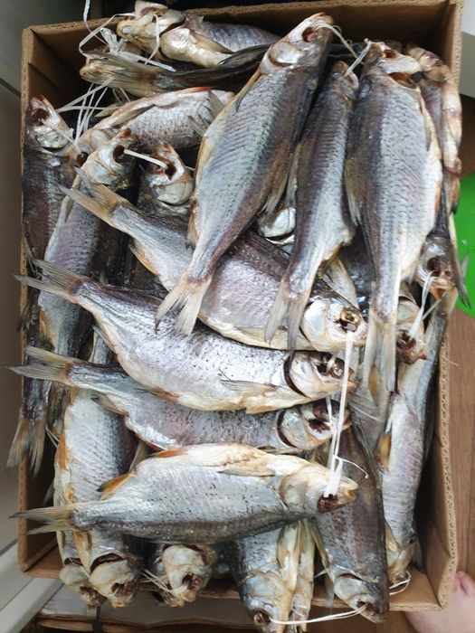 Тарань щука Лящь сушена з ікрою. Плотва вобла Синець