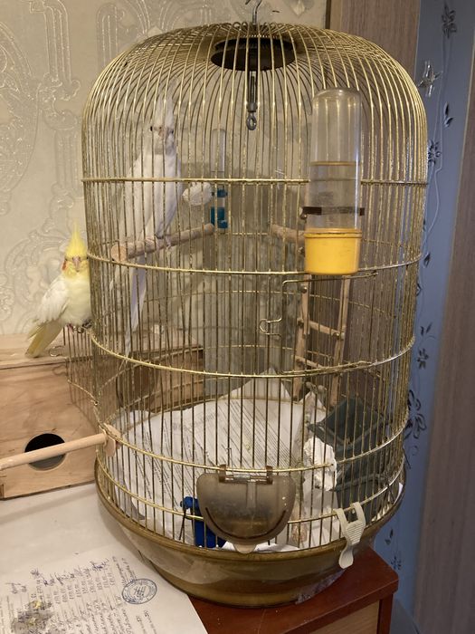 Продам клетку попугаев.