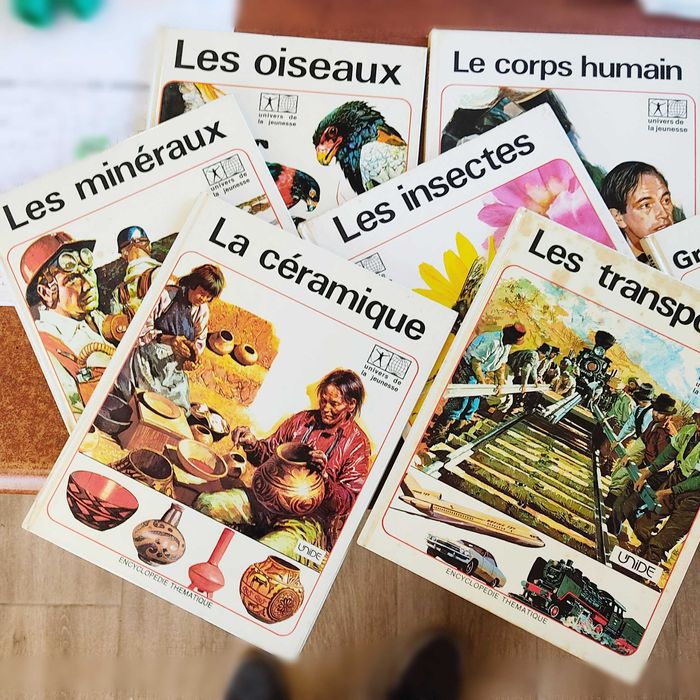 Enciclopédia Temática Francesa “Encyclopédie Thématique”