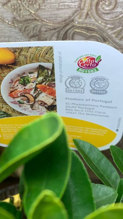 Лимон   Лаймкват Лимонелла