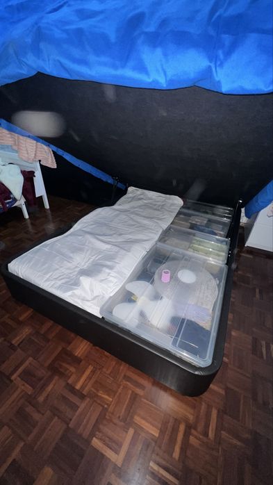 Vendo cama com colchao e cabeceira