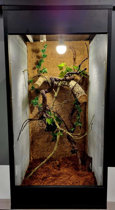 Terrarium 50x50x100 dla kameleona