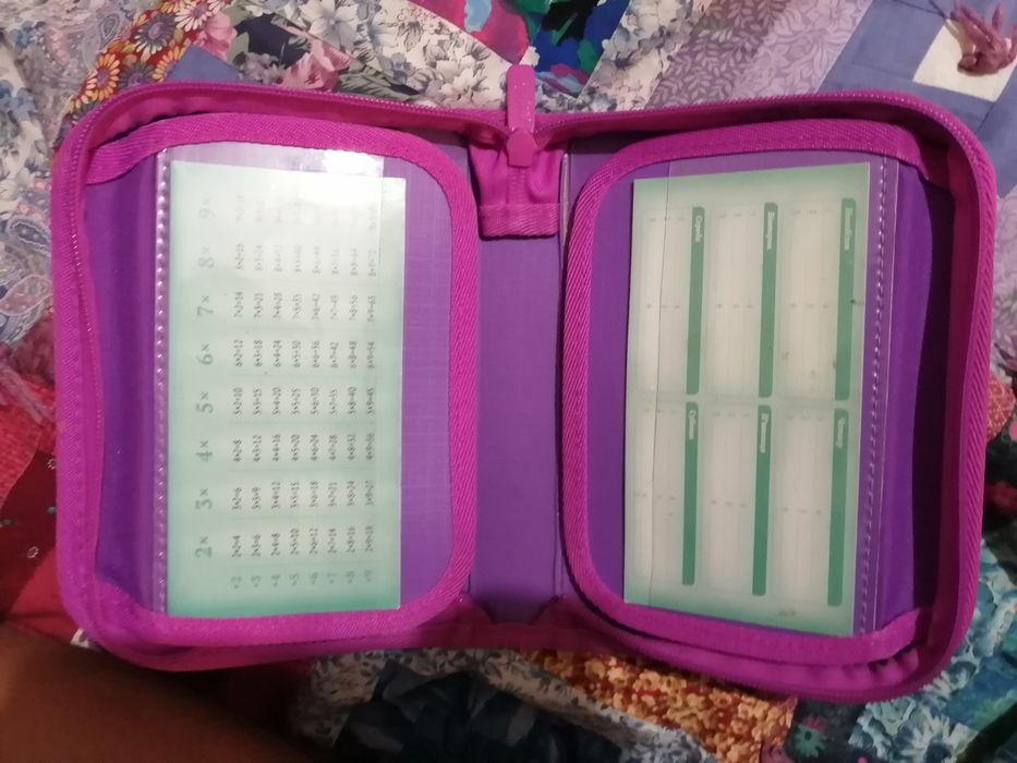 Продам школьный пенал для девочки