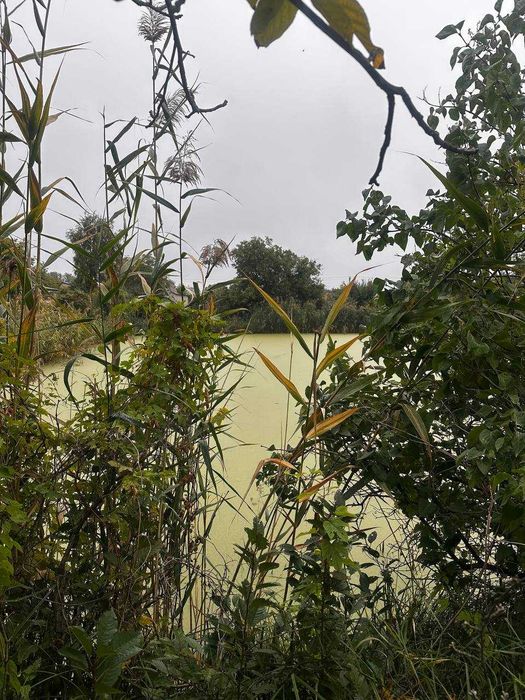 Продаж будинку 22 км від центру Черкас, кооператив Чайка 2