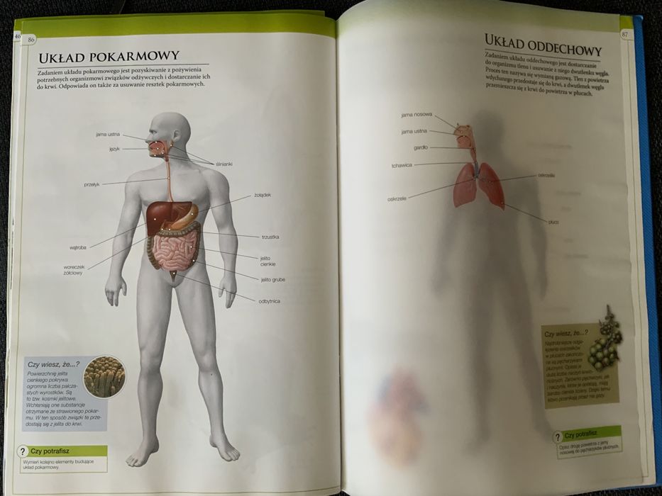 Atlas ilustrowany Nowa era Świat przyrody do klas 1-3