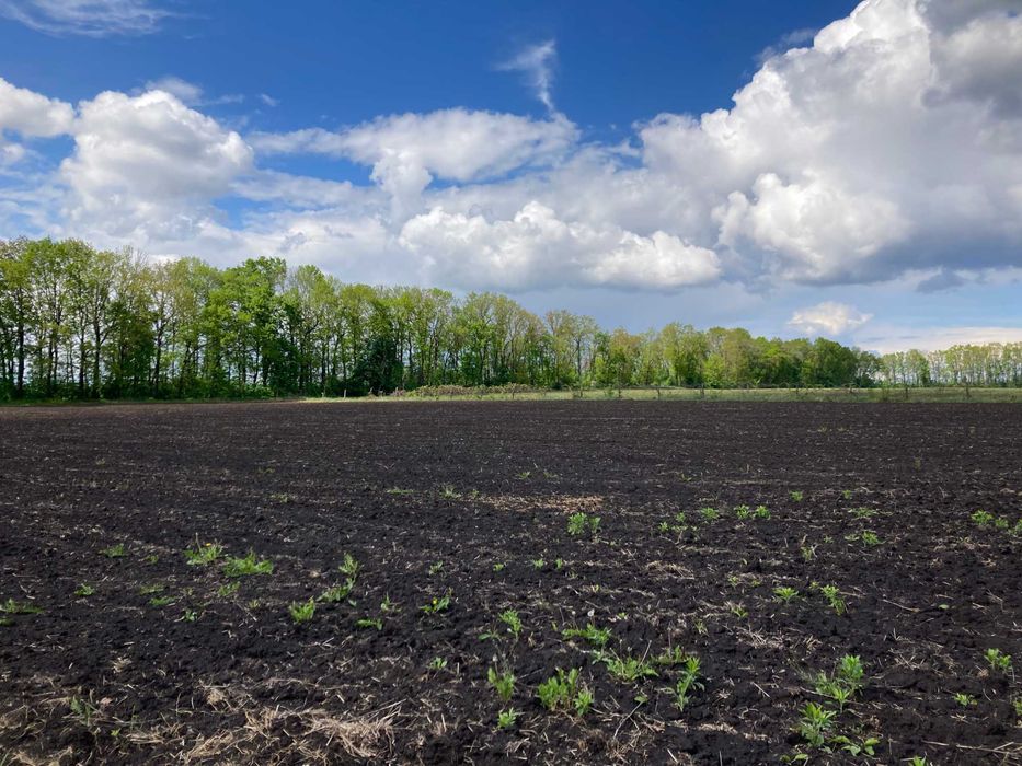 Продам земельну ділянку під комерцію біля складів Нової Пошти, Вінниця