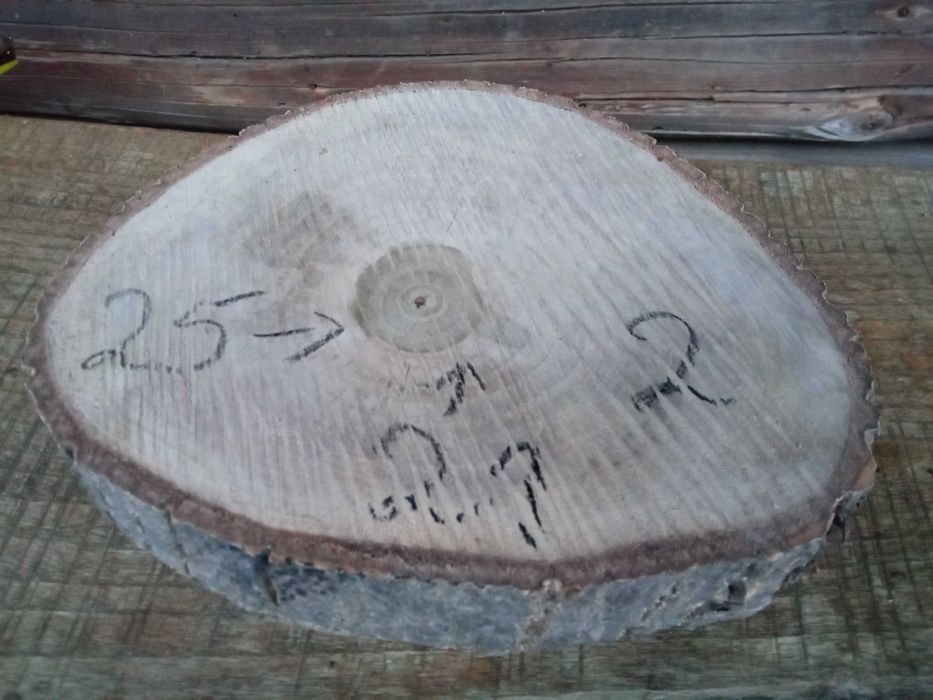 Plaster drewna Ładny Orzech DIY Wybór Sztuki HIT Cena za 3 sztuki