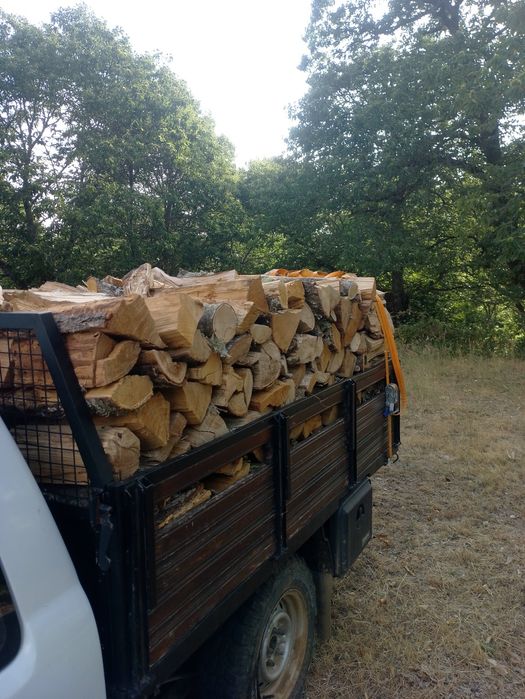 Lenha de castanho +/- 1000kg