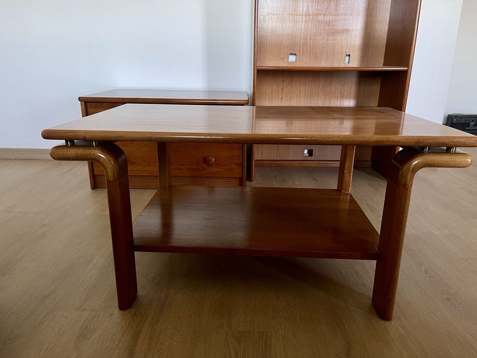 Conjunto de mobilida de sala de estar