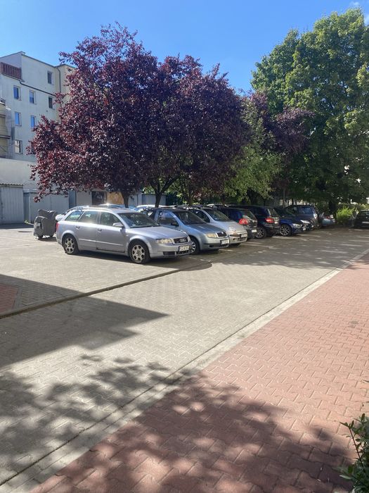 Pokój dla Pani wynajmę Wilda